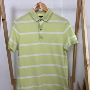 Camisa Polo Verde Listrada Richards